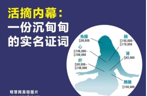 一个全新的干净世界媒体平台